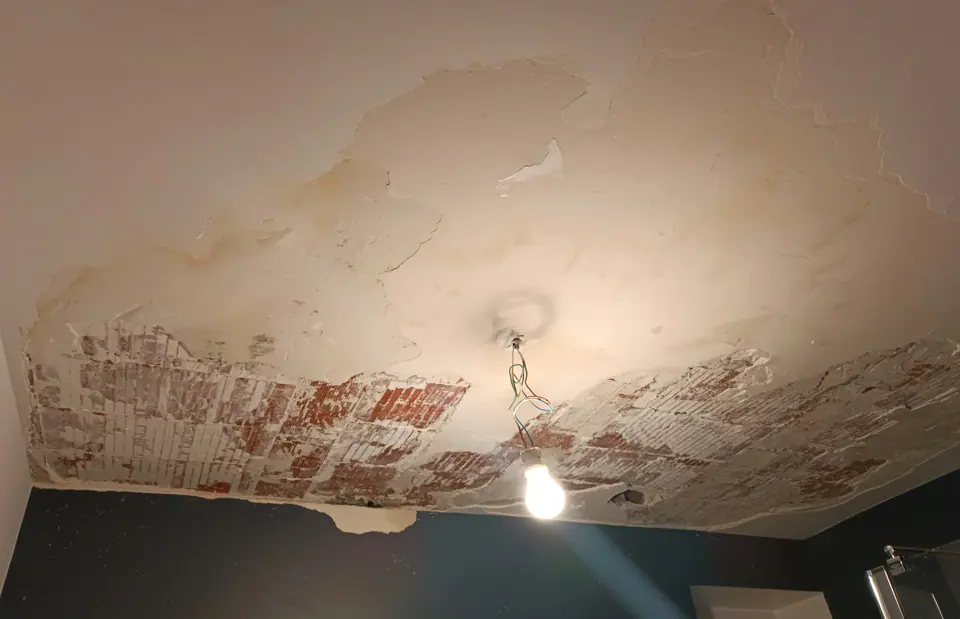 Avant travaux : plafond de salle de bain écaillé